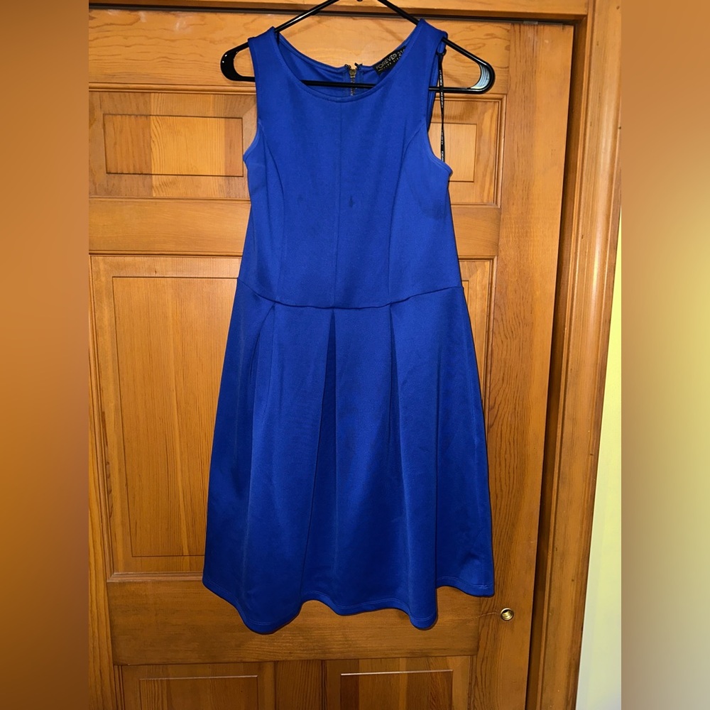 Forever 21+ Blue Skater Dress